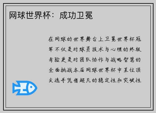 网球世界杯：成功卫冕